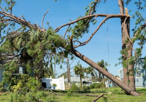 Ensure Your Home is Storm-Ready Before Staging