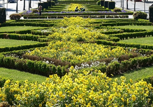 Elevate Your Home's Value with Expert Landscaping & Staging